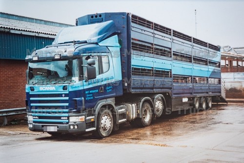 Truck photo scania 144l - photo, 480