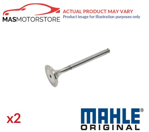 Engine exhaust valve - engine,